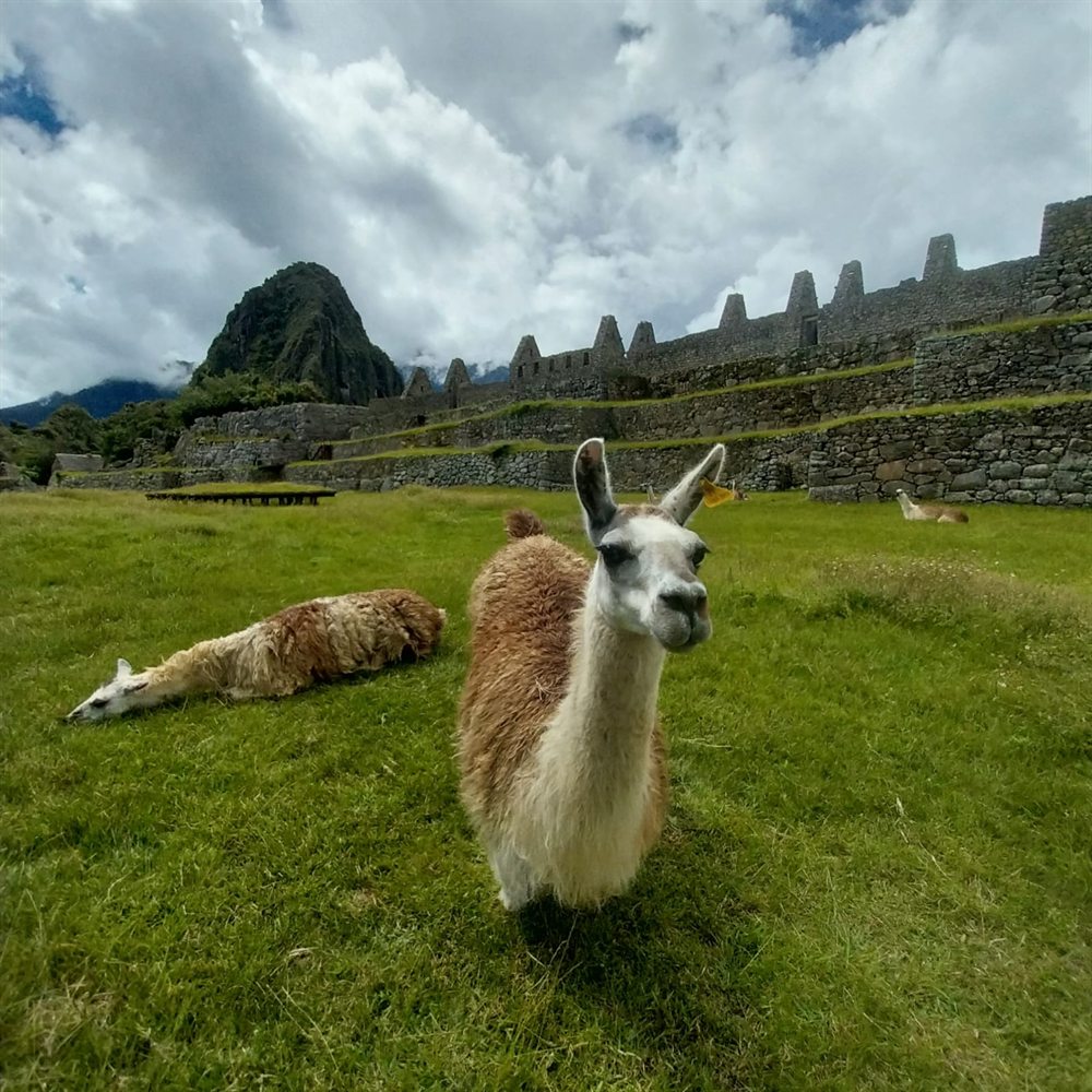 Turismo con propósito
