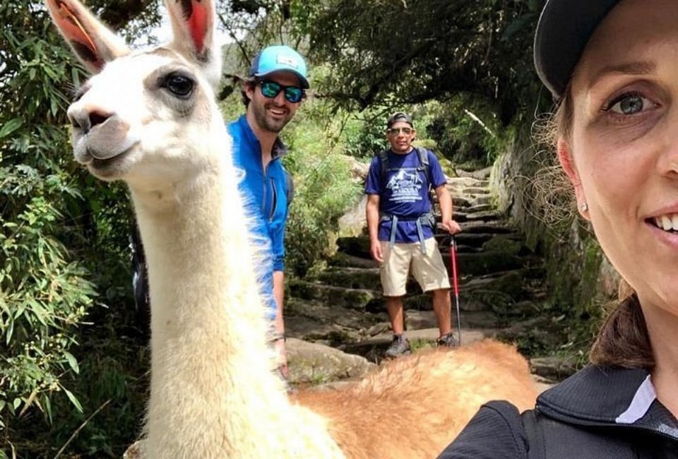 Tour con Llamas