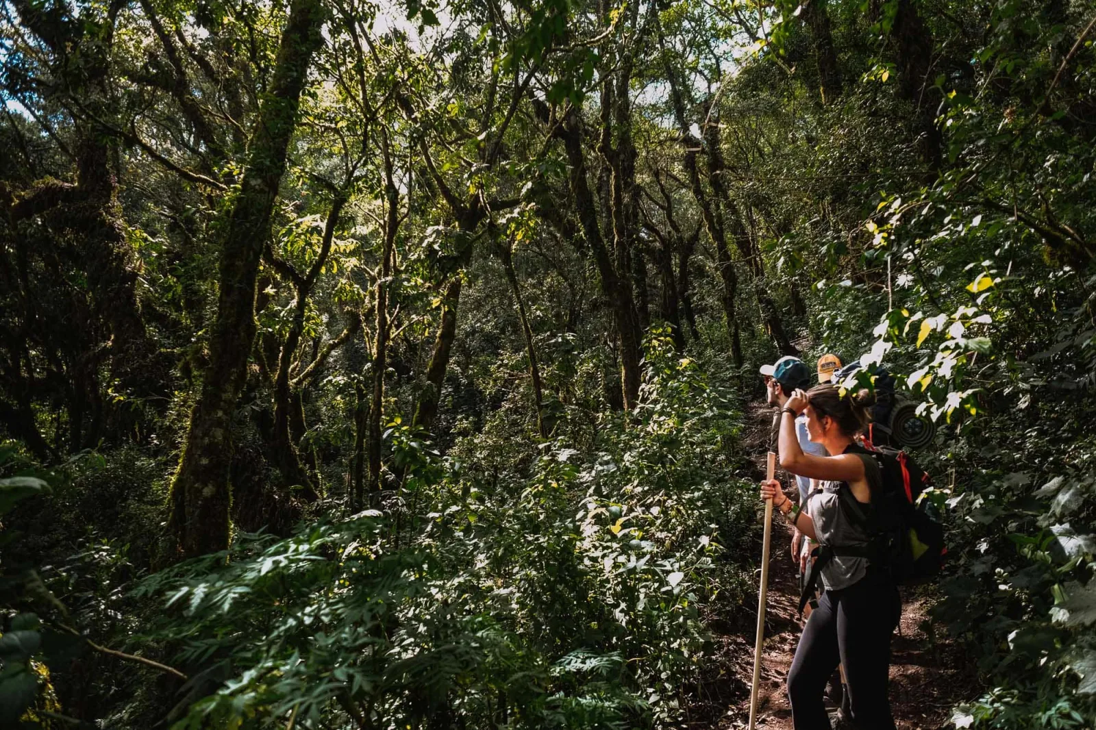Inca Jungle Trail 4 Días 3 Noches